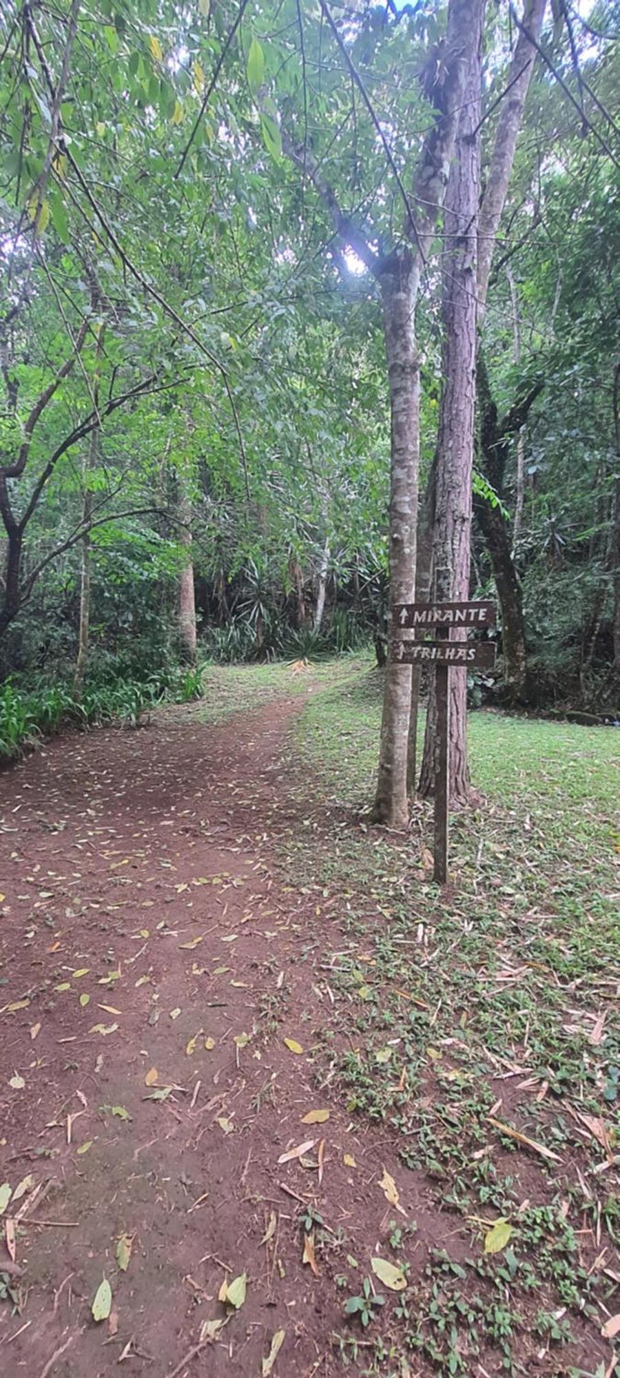 Ap Centro Cascatinha Prox Parque Apartment Nova Friburgo Exterior foto
